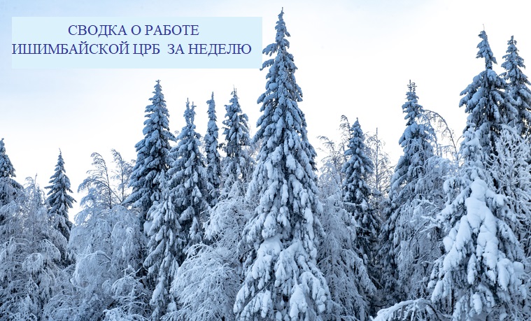 769192 Zimniy turizm Krasnovishersk zima zimniy les turisti priroda tayga sneg na derevyyah les v kurzhake 250x0 6048.4032.0.0